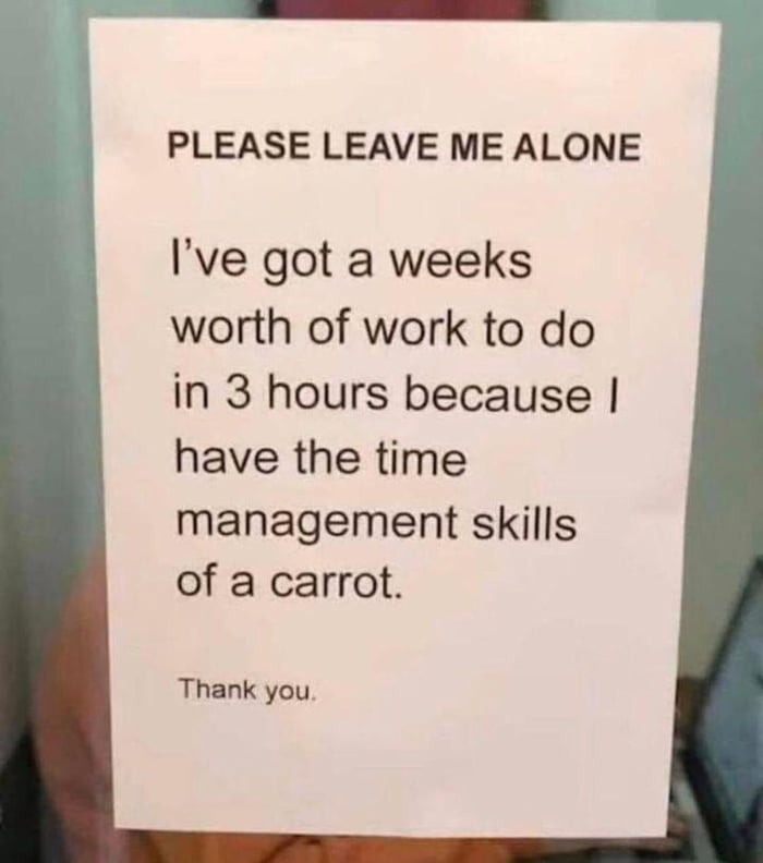 PLEASE LEAVE ME ALONE Ive got a weeks worth of work to do in 3 hours because have the time management skills of a carrot Thank you