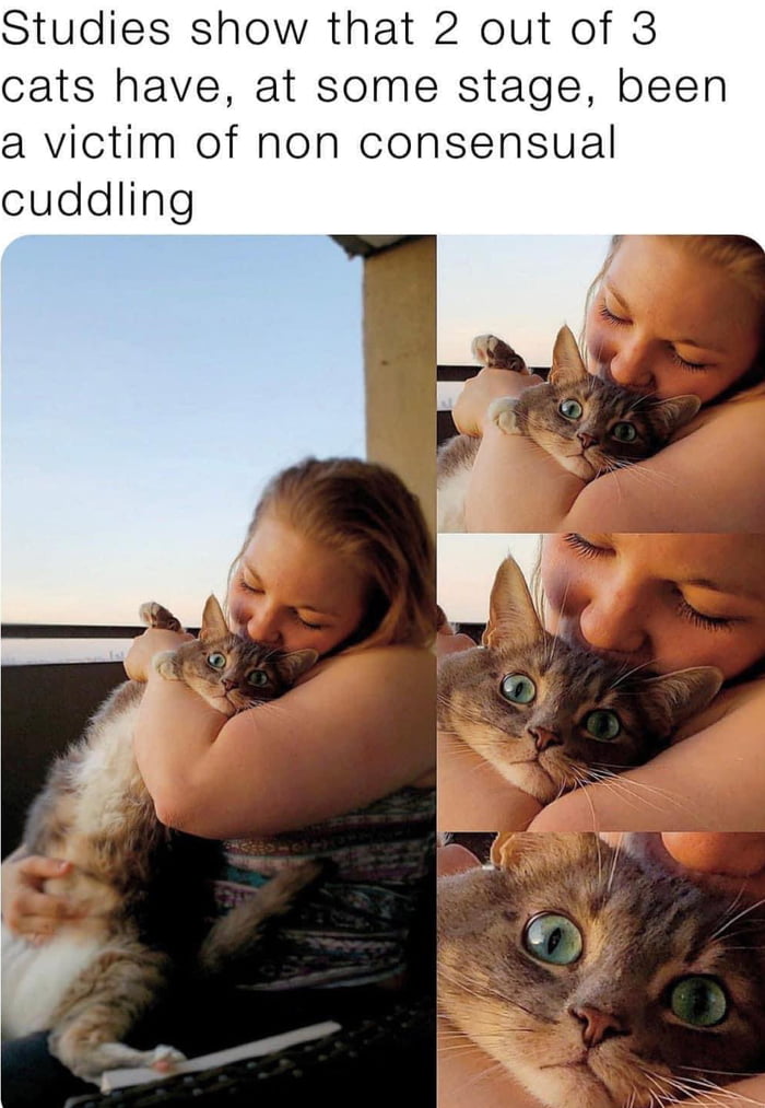 Studies show that 2 out of 3 cats have at some stage been a victim of non consensual cuddling