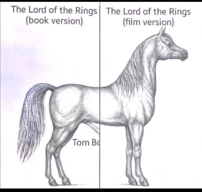 The Lord of the Rings book version The Lord of the Rings film version