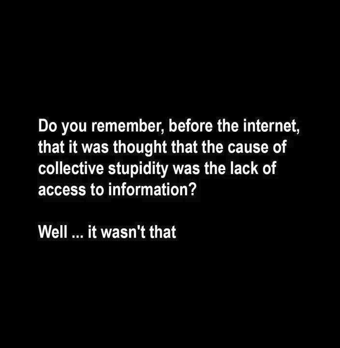 Do you remember before the internet that it was thought that the cause of collective stupidity was the lack of access to information Well it wasnt that