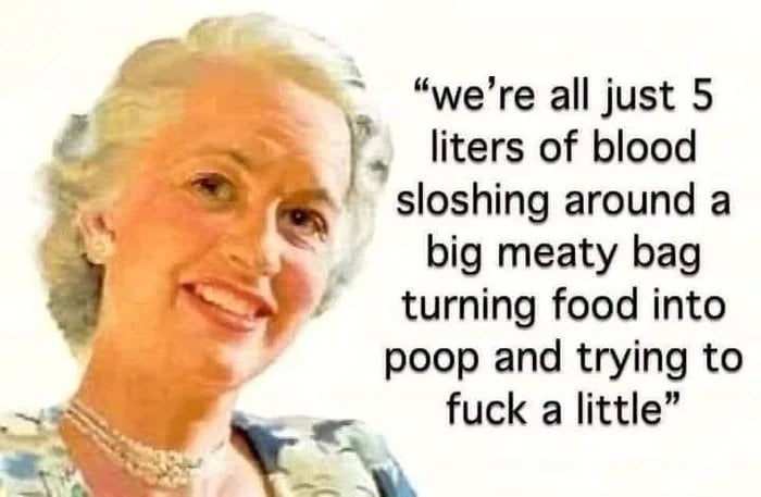 were all just 5 liters of blood sloshing around a big meaty bag turning food into poop and trying to fuck a little