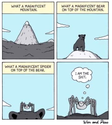 WHAT A MAGNIFICENT MOUNTAIN A W O WHAT A MAGNIFICENT SPIDER ON TOP OF THE BEAR Wan and