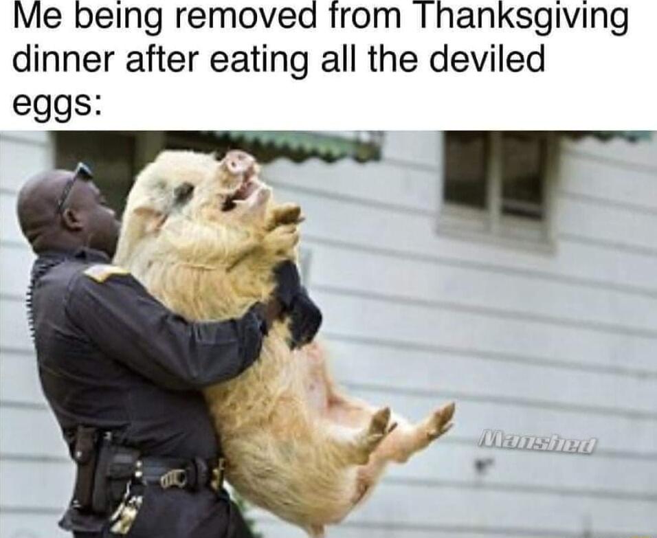 Me being removed from hanksgiving dinner after eating all the deviled eggs