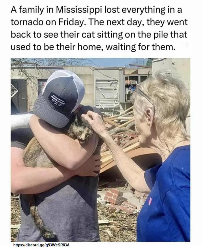 A family in Mississippi lost everything in a tornado on Friday The next day they went back to see their cat sitting on the pile that used to be their home waiting for them hitpsidiscordgggS We SRIA