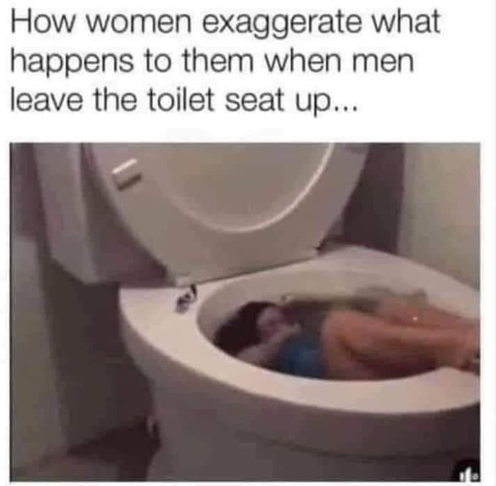 How women exaggerate what happens to them when men leave the toilet seat up