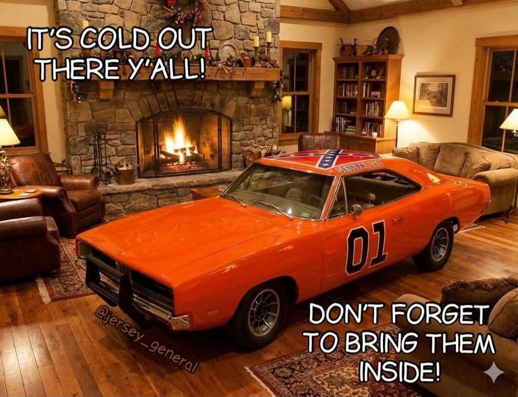 IT'S COLD OUT THERE Y'ALL! DON'T FORGET TO BRING THEM INSIDE!