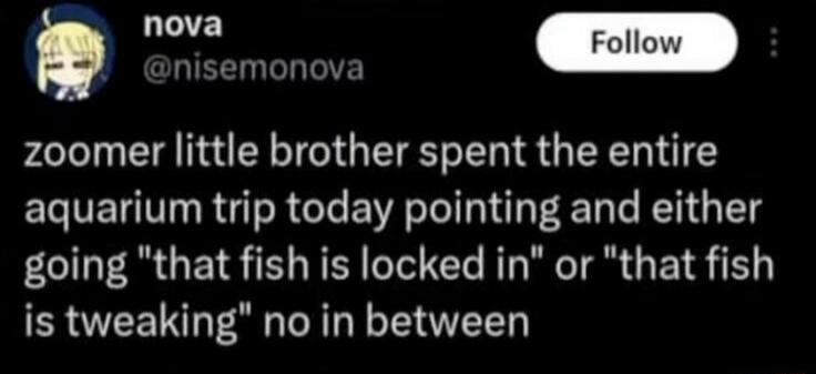 y zoomer little brother spent the entire aquarium trip today pointing and either going that fish is locked in or that fish is tweaking no in between