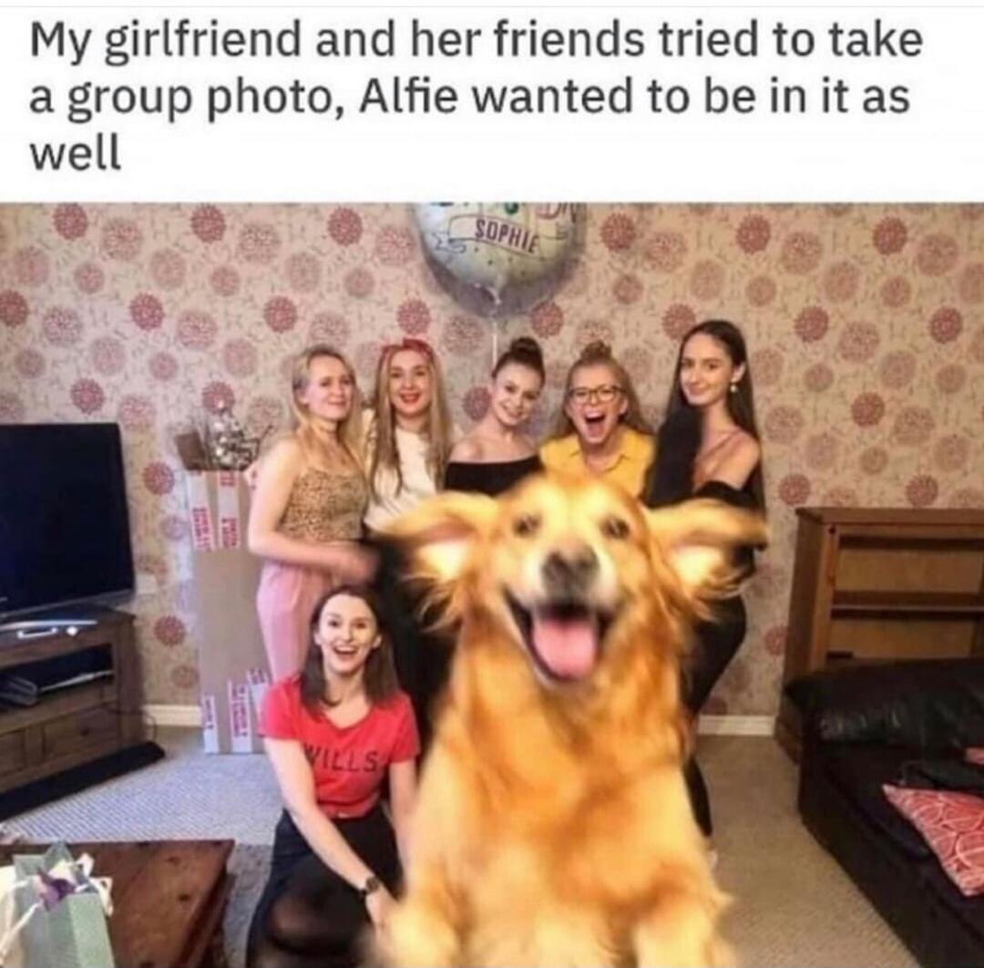 My girlfriend and her friends tried to take a group photo, Alfie wanted to be in it as well. SOPHIE. WILLS.