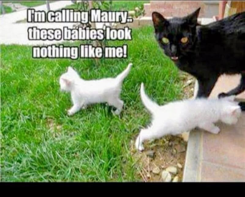 I'm calling Maury -- these babies look nothing like me!