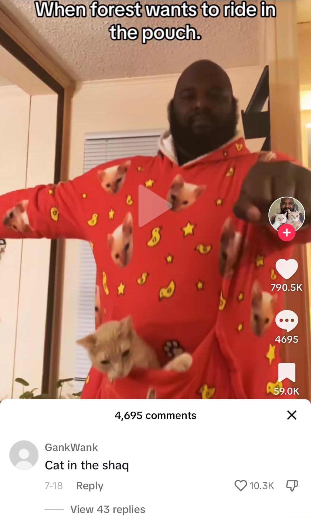 WinEh eresEiEmS o i i ithelpouch 4695 comments X GankWank Cat in the shaq Reply Q1o3k CP View 43 replies