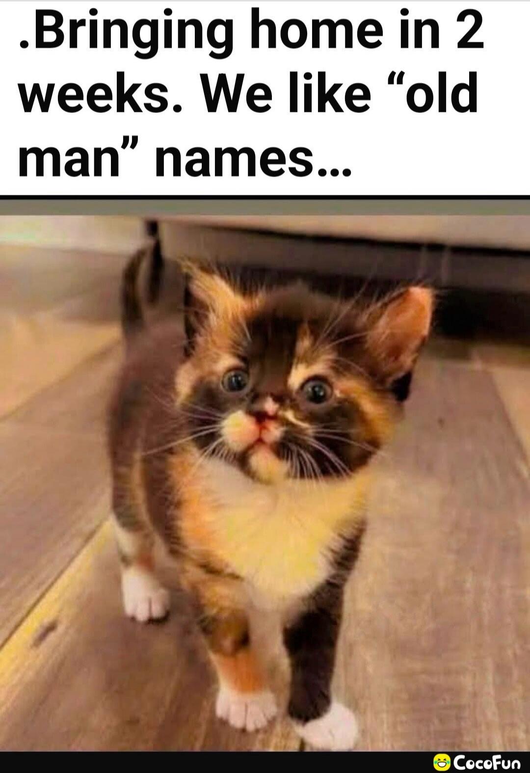 Bringing home in 2 weeks. We like 