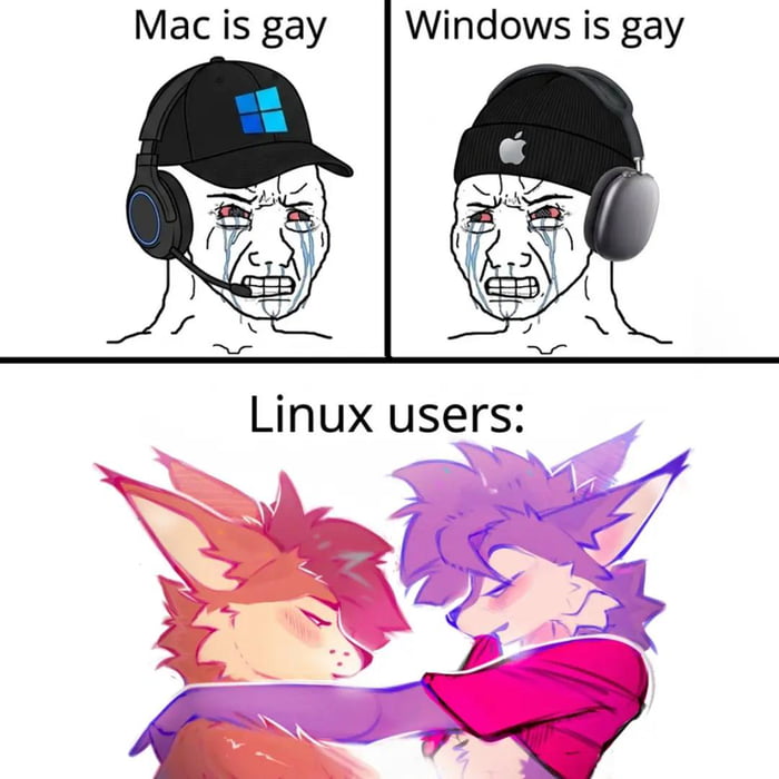 Mac is gay Windows is gay Linux users: