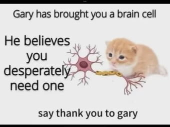 Gary has brought you a brain cell He believes you desperately need one say thank you to gary