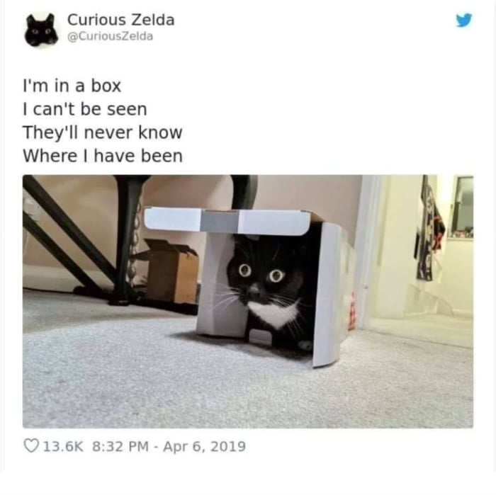 I'm in a box I can't be seen They'll never know Where I have been