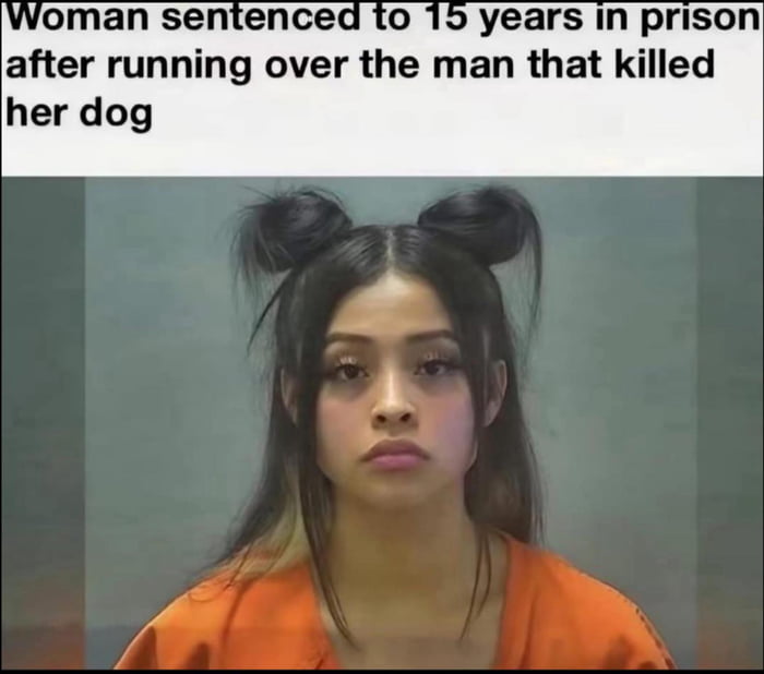Woman sentenced to 15 years in prison after running over the man that killed her dog