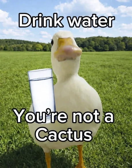 Drink water
You're not a Cactus