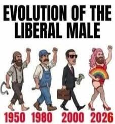 EVOLUTION OF THE LIBERAL MALE 1950 1980 2000 2026