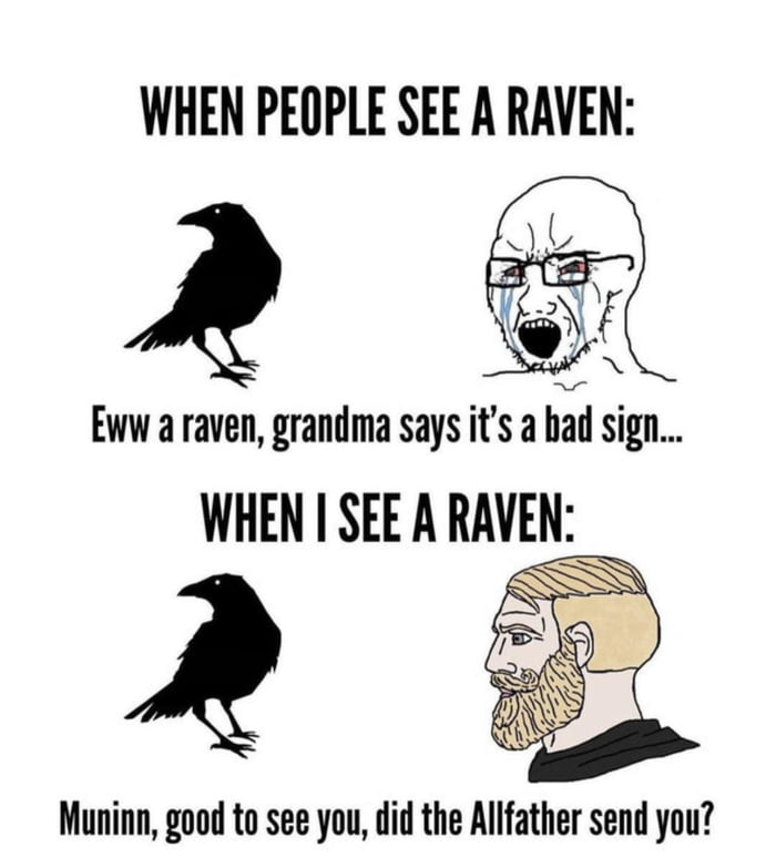 WHEN PEOPLE SEE A RAVEN Ol Eww a raven grandma says its a hl sign WHEN SEE A RAVEN Muninn good to see you did the Allfather send you