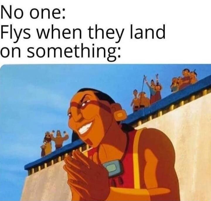 No one Flys when they land on something