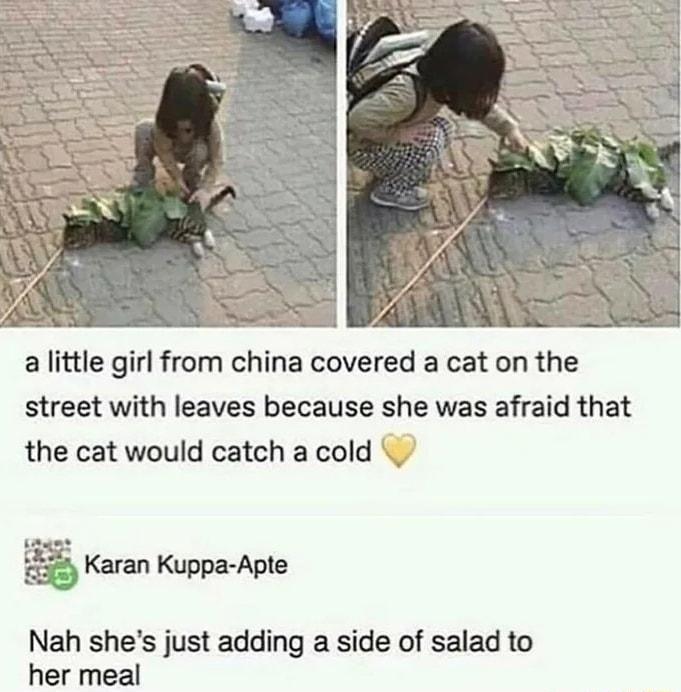 a little girl from china covered a cat on the street with leaves because she was afraid that the cat would catch a cold l Karan Kuppa Apte Nah shes just adding a side of salad to her meal