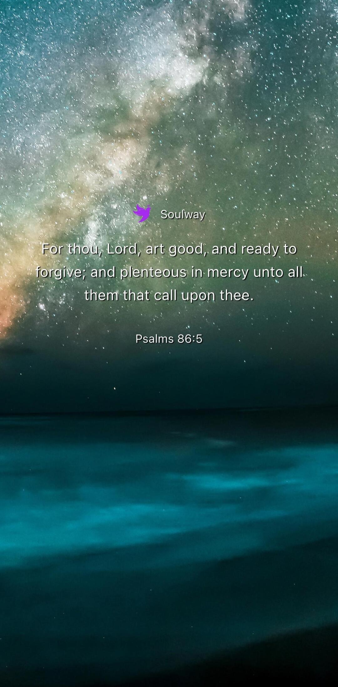 Soulway For thou, Lord, art good, and ready to forgive; and plenteous in mercy unto all them that call upon thee. Psalms 86:5