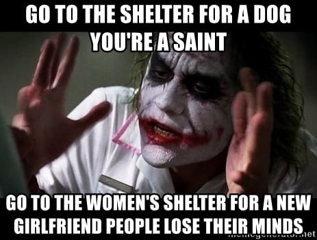 GO TO THE SHELTER FOR A DOG You IlE A SAIIII G0 TO THEWOMENS SIlElIH FOR ANEW GIRLFRIEND PEOPLE LOSE THEIR MINDS