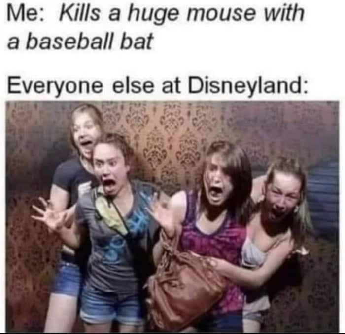 Me Kills a huge mouse with a baseball bat Everyone else at Disneyland 5