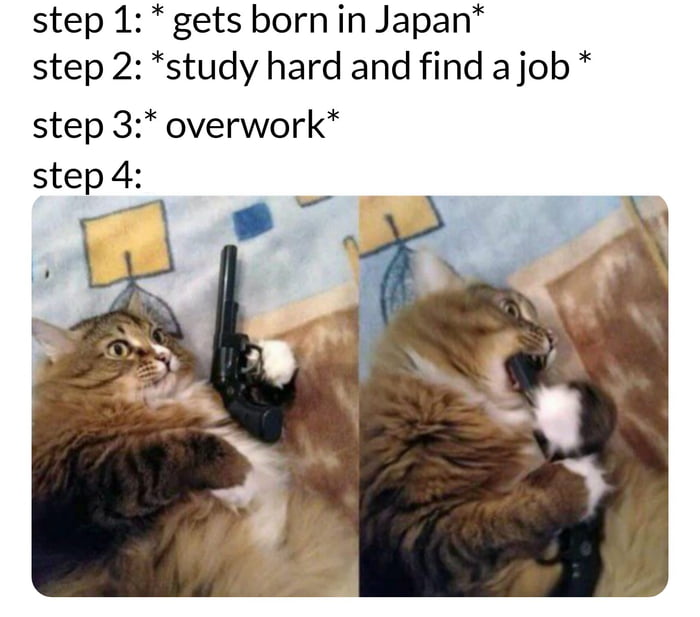 step 1 gets born in Japan step 2 study hard and find a job step 3 overwork step 4