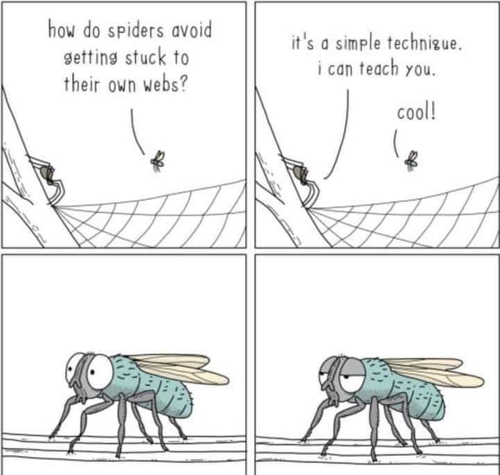 how do spiders avoid getting stuck to their own webs its a simple technigue i can teach you cool theycantalkcom