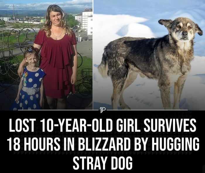 LOST 10 YEAR OLD GIRL SURVIVES 18 HOURS IN BLIZZARD BY HUGGING STRAY DOG