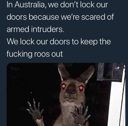 In Australia we dont lock our 0 ool oTer UN RWEH CRTorITo Kol F1aaTo N a1 igUle SRS We lock our doors to keep the fucking roos out