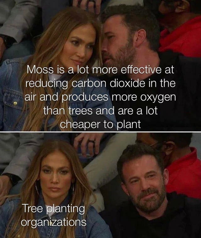 Moss is alot more effective at reducing or1 oolale eX e CRIa Ral air and produces more oxygen than trees and are a lot cheaper to plant Tree planting felgeETal1ilelg