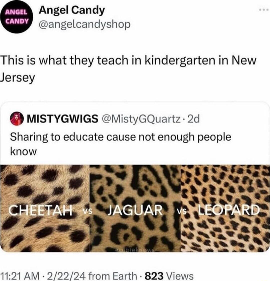 Angel Candy angelcandyshop This is what they teach in kindergarten in New Jersey MISTYGWIGS MistyGQuartz 2d Sharing to educate cause not enough people know 1121 AM 22224 from Earth 823 Views