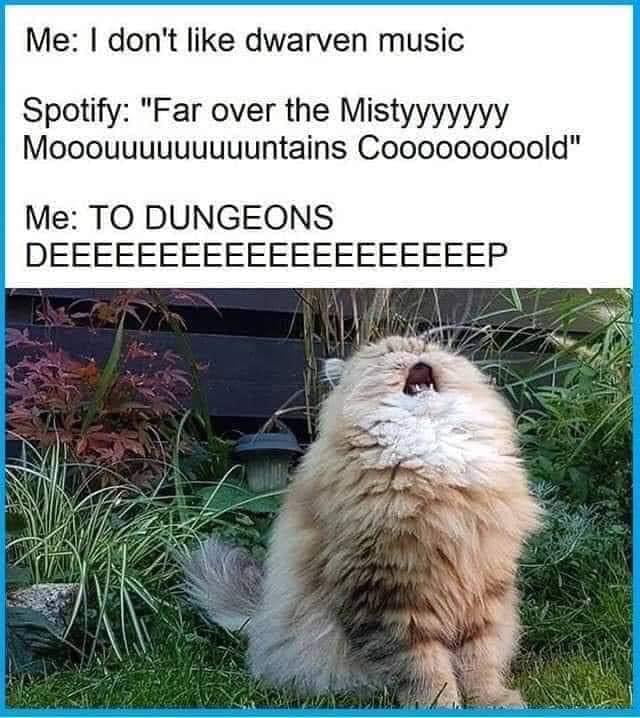 Me dont like dwarven music Spotify Far over the Mistyyyyyyy Mooouuuuuuuuuntains Cooooooooold Me TO DUNGEONS DEEEEEEEEEEEEEEEEEEEEP