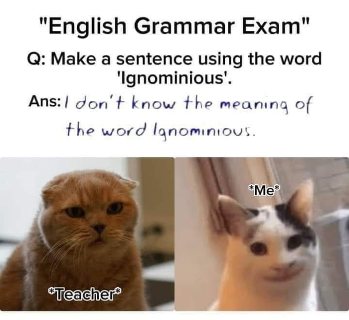 English Grammar Exam Q Make a sentence using the word lgnominious Ans dont know the meamng of the word lanomnious