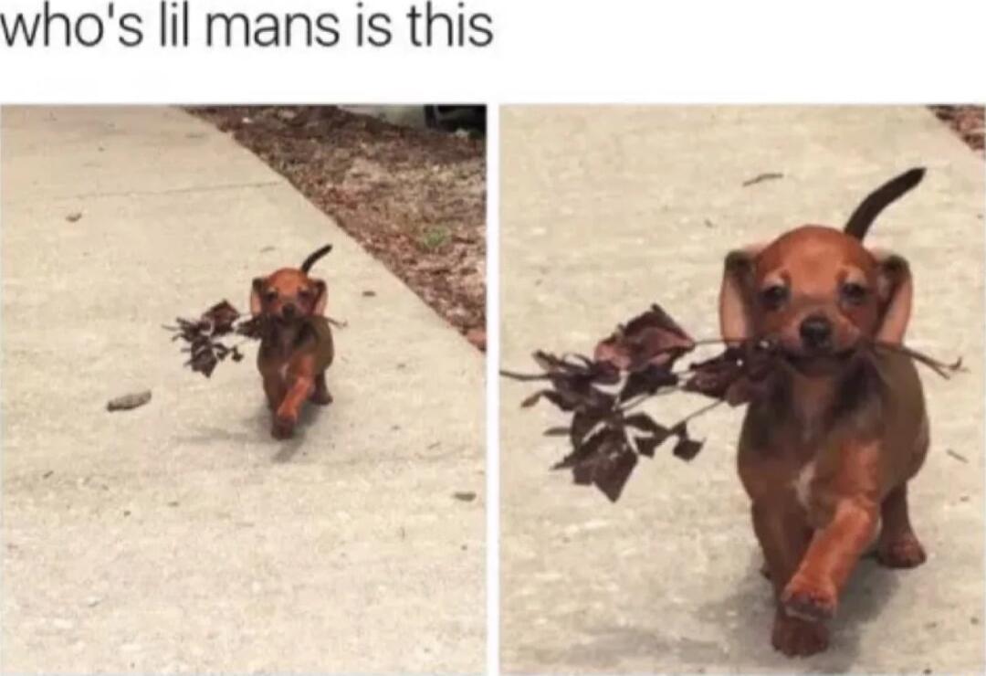 whos lil mans is this