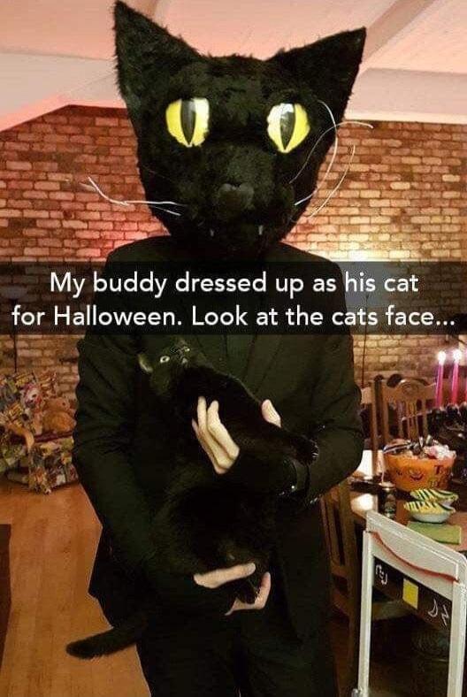 My buddy dressed up as for Halloween Look at the cats face_ Tf v