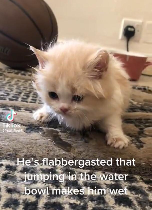 oSe LN Cla RO EI S inghefvater