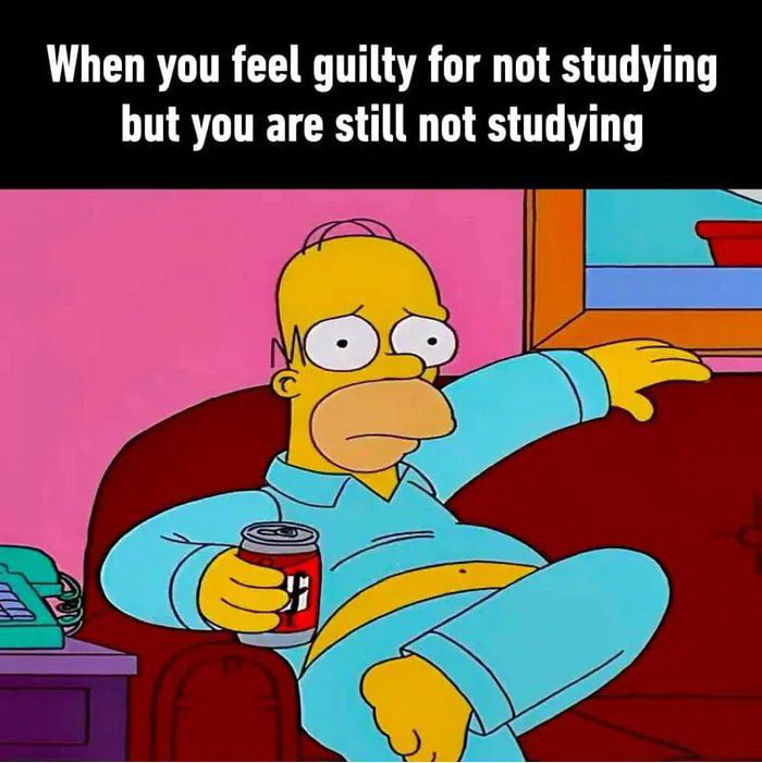 When you feel guilty for not studying but you are still not studying