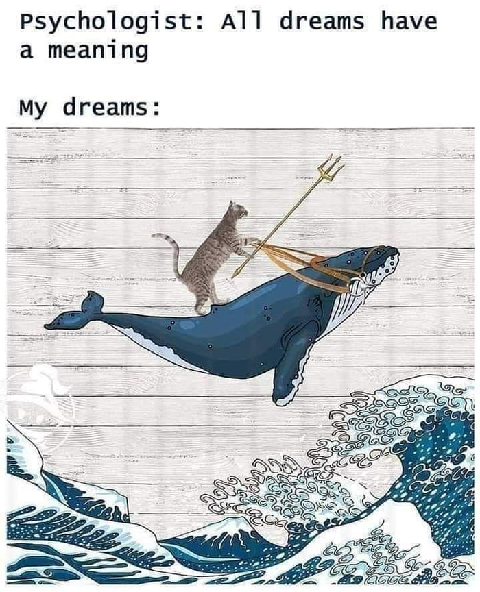 Psychologist A1l dreams have a meaning My dreams