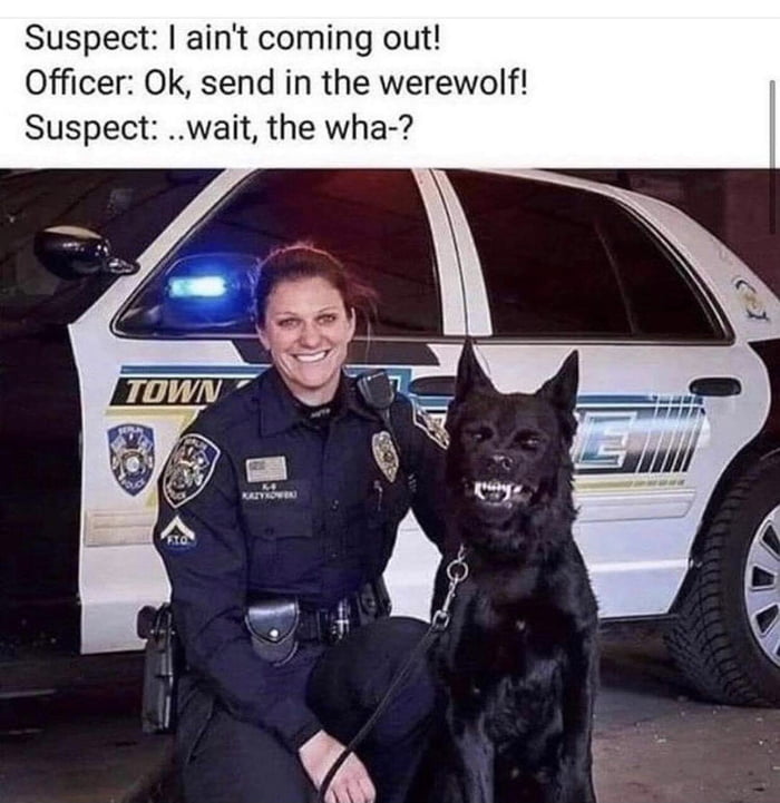 Suspect aint coming out Officer Ok send in the werewolf Suspect wait the wha