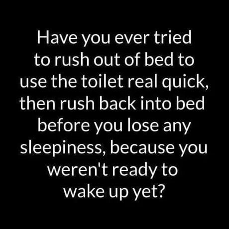 Have you ever tried to rush out of bed to use the toilet real quick then rush back into bed before you lose any sleepiness because you werent ready to wake up yet