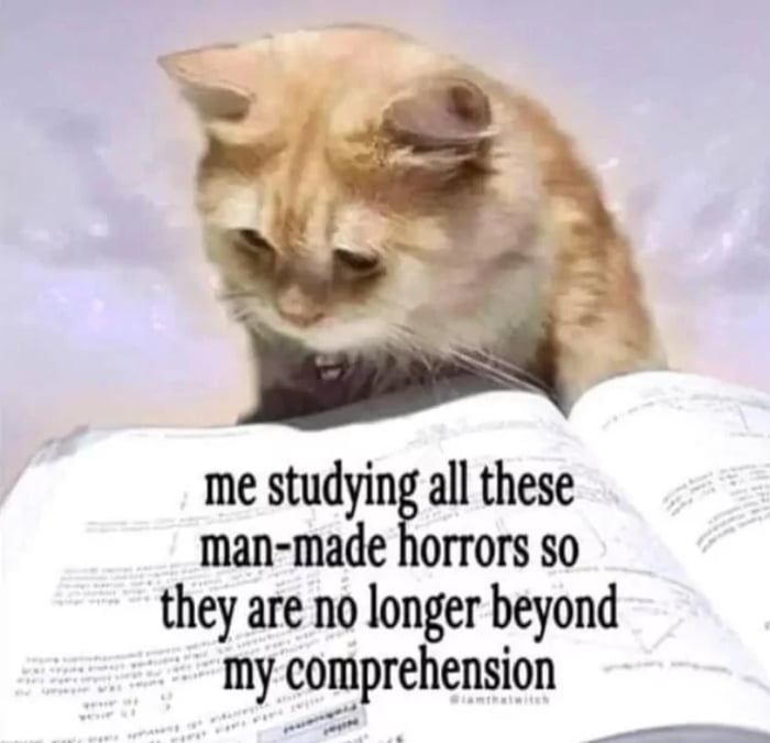 me studying all these man-made horrors so they are no longer beyond my comprehension