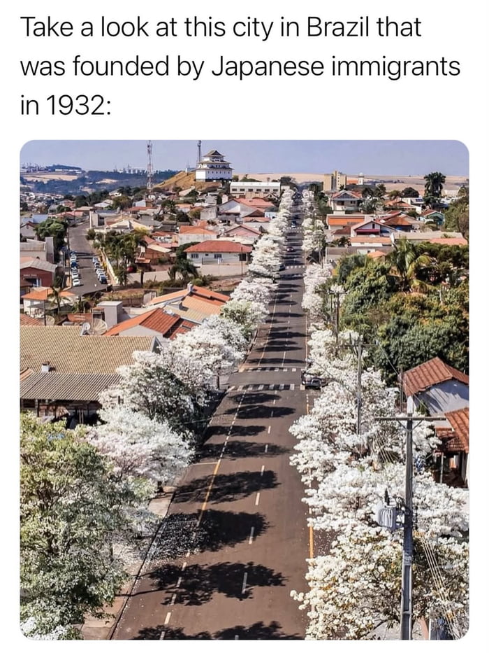 Take a look at this city in Brazil that was founded by Japanese immigrants in 1932: