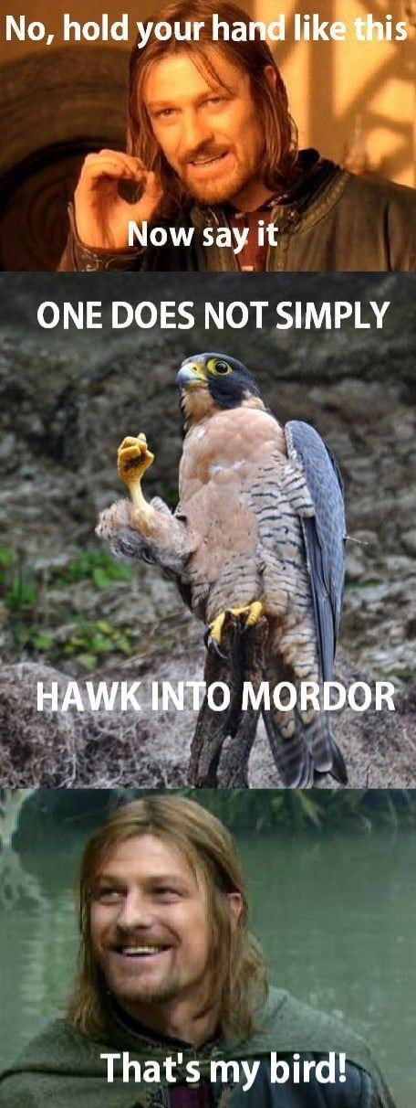Thats my bird