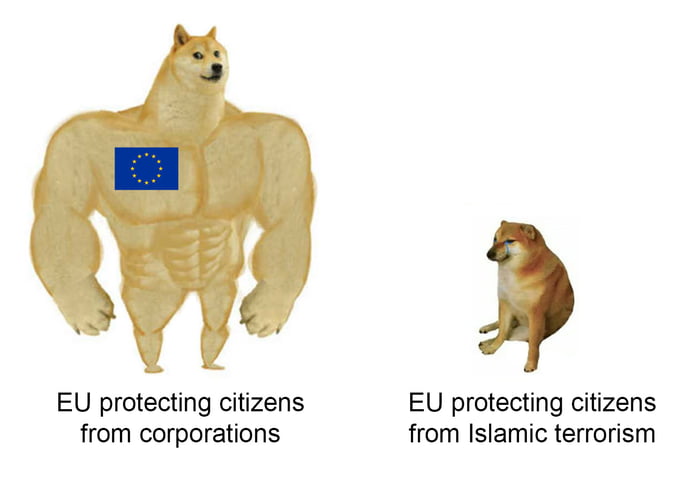 EU protecting citizens EU protecting citizens from corporations from Islamic terrorism
