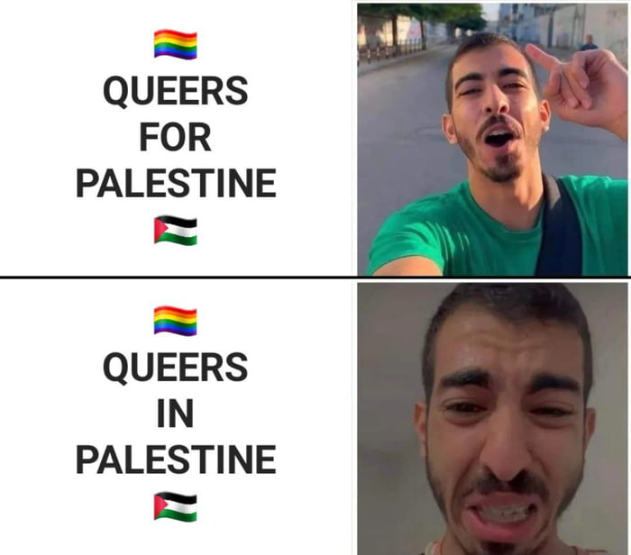 QUEERS FOR PALESTINE o QUEERS IN PALESTINE o