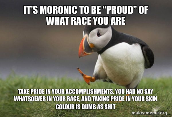 ITS MORONIC TO BE PROUD OF WHAT RACE YOU ARE By v TAKE PRIDE N YOUR ACCOMPLISHMENTS Y0U HAD NOSAY WHATSOEVER NYOUR RACE AND TAKING PRIDEIN YOUR SKIN COLOURIS DUMBAS SHIT akeameMenrs