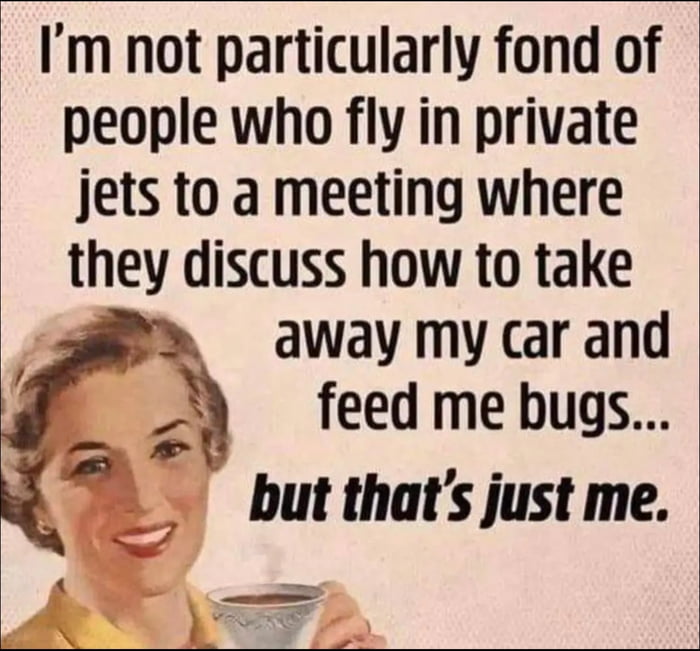 Im not particularly fond of people who fly in private jets to a meeting where they discuss how to take away my car and feed me bugs but thats just me