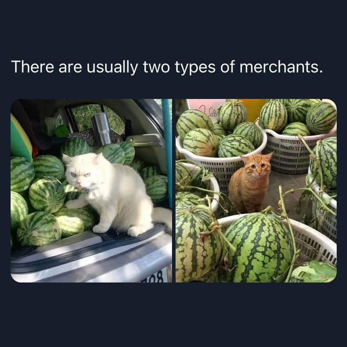 There are usually two types of merchants